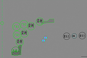 CAD图纸打开后:直接不显示标注、轴线、墙体、文字、坐标,解决办法:安装显示插件