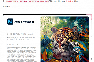 PS安装出错提示:错误代码 176,此时无法安装photoshop2020,抱歉,安装失败